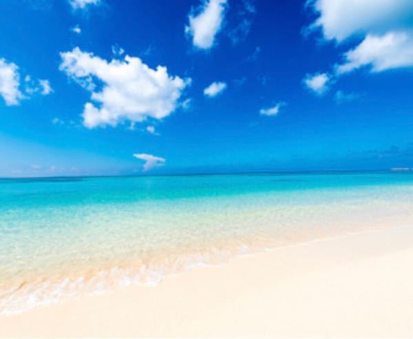 水野裕子さんの髪型になりたいです 水野裕子さんのようなボーイッシュで Yahoo 知恵袋