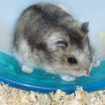 Gta5で現金輸送車はどうしたらいいのですか なんかattacksとかでてた Yahoo 知恵袋