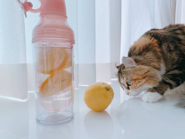 ハリーポッターのヴォルデモートは父親としては トムリドルシニアよりはマ Yahoo 知恵袋