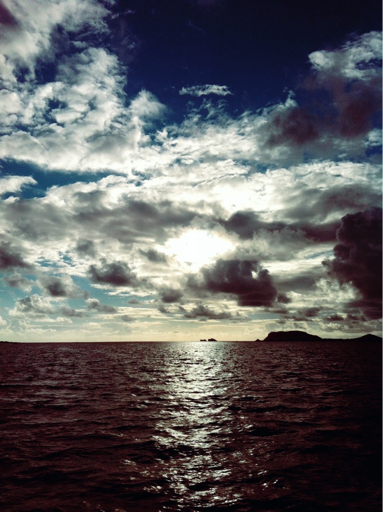 洗濯物を干すのを２週間程忘れてしまっていました さっき気づいたの Yahoo 知恵袋