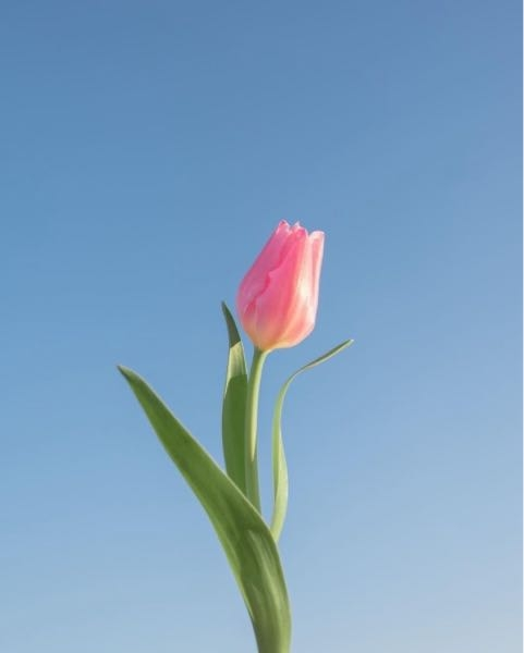 すぐ泣いてしまうことをやめたいのですがどうしたらいいですか 私は 最近気 Yahoo 知恵袋