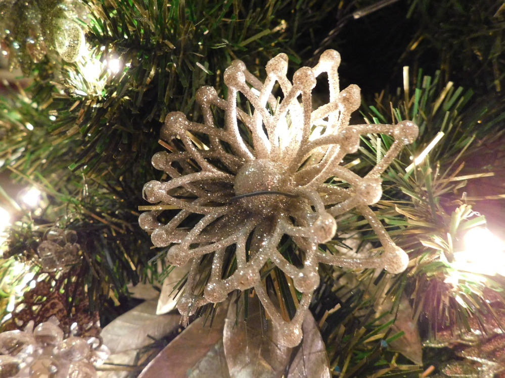 ディズニーに友達と行って写真撮るとき 誰かに声かけて撮ってもらってるんですよね Yahoo 知恵袋