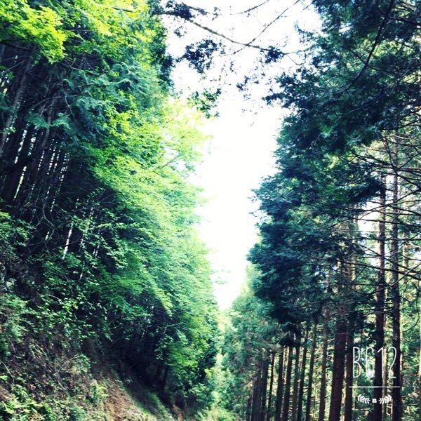 嫌いなyoutuberと好きなyoutuberは誰ですか Yahoo 知恵袋