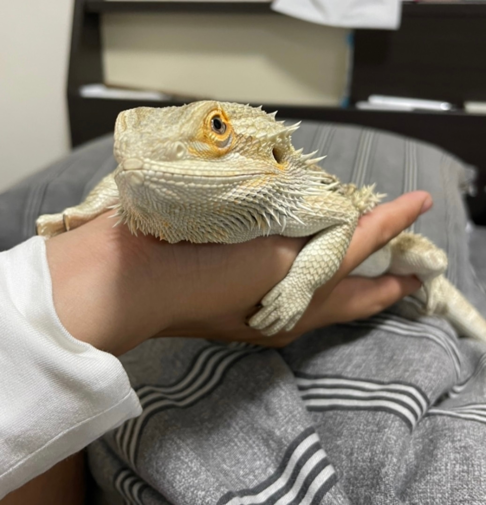 ネットサイファーについて Skypeで友達とサイファーをし Yahoo 知恵袋