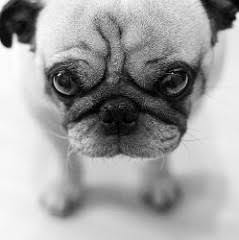 カルチョビットaで手っ取り早くチャンスメーカーにする方法を教えてくださ Yahoo 知恵袋