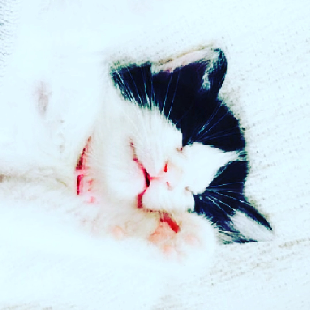 アラフォーの失恋がツライです 40代前半の女性です 1週間前に半 Yahoo 知恵袋