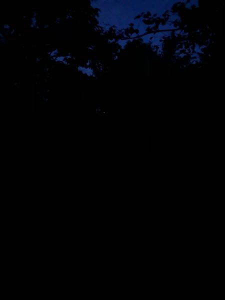 七つの大罪のホークはワンドロの生まれ変わりですか まだ特に明記はさ Yahoo 知恵袋