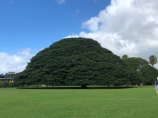 太鼓の達人についてです 着せ替え 黒の覚醒or白の覚醒 のゲット Yahoo 知恵袋