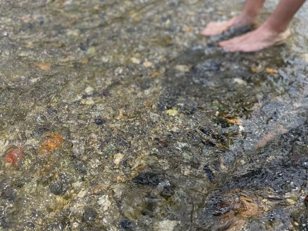 Stateofdecay Yoseに日本語化はどうやってやる Yahoo 知恵袋