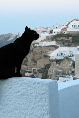 キャロル表の書き方がわかりません 何を念頭に書くのですか Yahoo 知恵袋