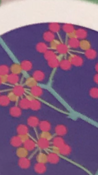 雨ニモマケズの詩は どういう意味なんでしょうか 雨ニモマケズ 風ニモ Yahoo 知恵袋