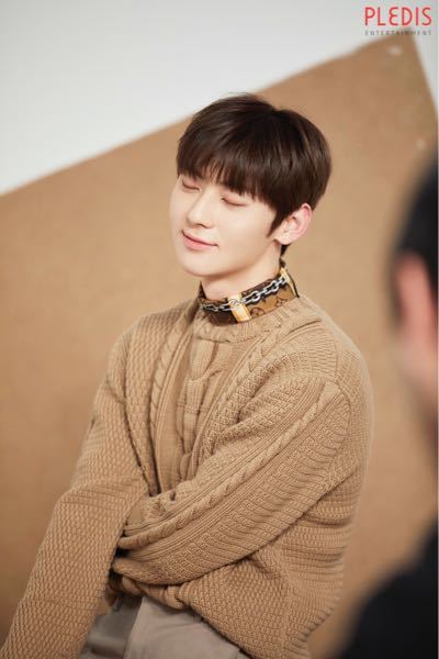 韓国のチキン屋さんbhcで定番の プリンクルチキンなどにかかってるパ Yahoo 知恵袋