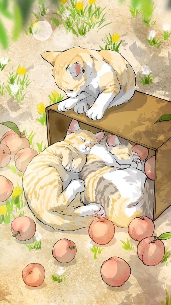 ポケモンについてです タマゴを産ませる際 親を最終進化 Yahoo 知恵袋