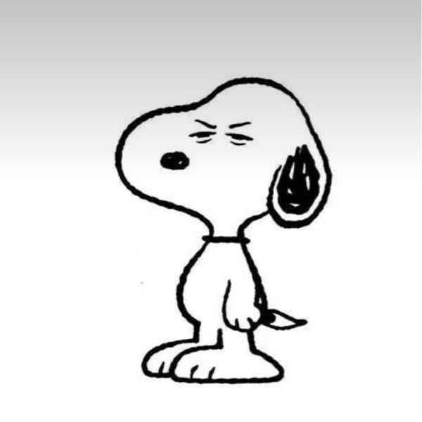 自分の顔が人より左右非対称すぎて嫌です 可愛くなろう って Yahoo 知恵袋