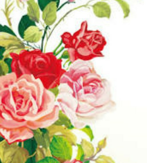 赤ちゃんがスーパーで奇声を発する時 親はどう対応したらいいです Yahoo 知恵袋