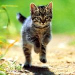 大学では他人の就職先ってどこでわかるのですか Yahoo 知恵袋