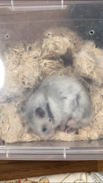 ヘイデイでジュースメーカーと釣り場だったら どっちを先に買っ Yahoo 知恵袋