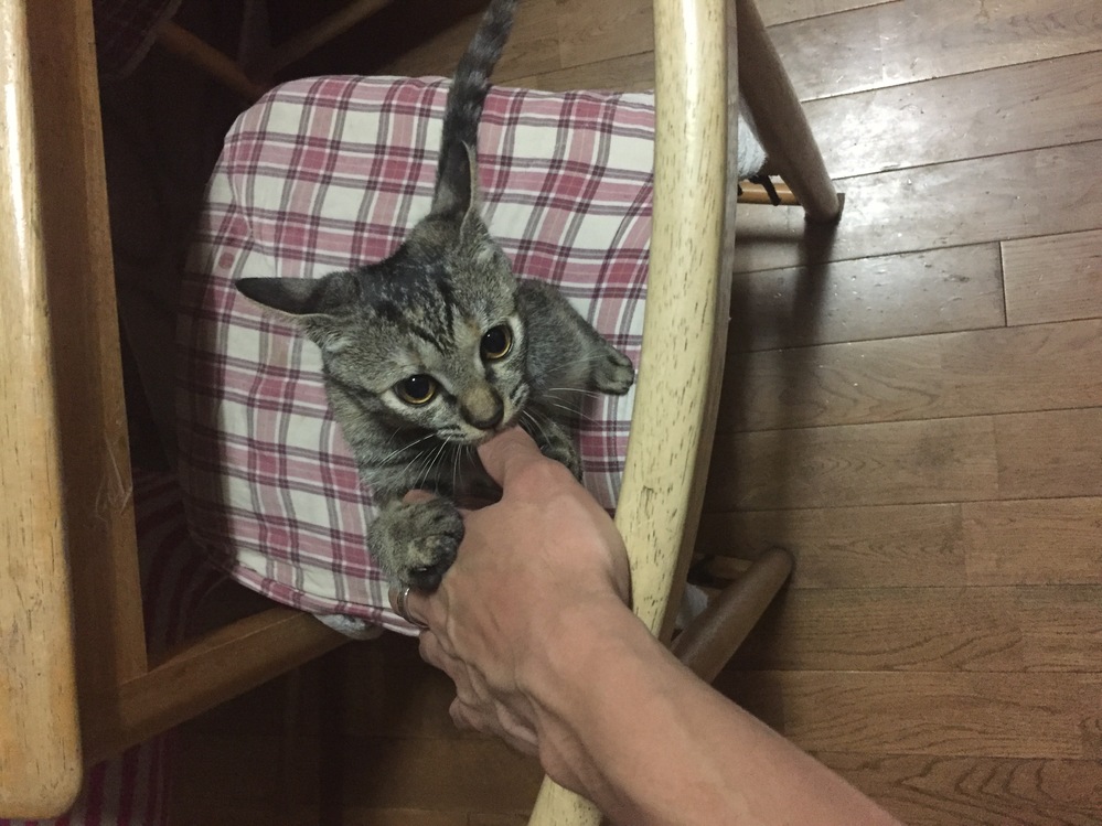 毎日つまらない 楽しくない 高校3年生女子です 今の私の状態は Yahoo 知恵袋