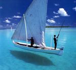 ハリーポッターに登場するコリンの俳優の名前を教えてください Yahoo 知恵袋