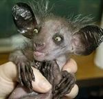 街宣車でうるさい軍歌まき散らしてる右翼の活動資金源は何ですか Yahoo 知恵袋