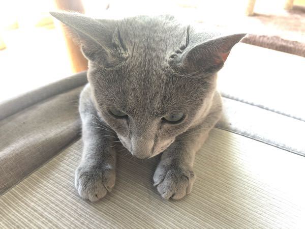 小説家になろうというサイトで面白い小説を探してます 私の好き Yahoo 知恵袋