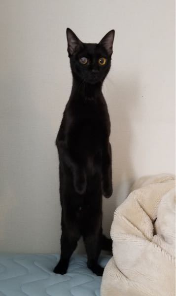 体育祭で一文字の漢字のtシャツを作ります そこでかっこいい漢字はあ Yahoo 知恵袋