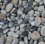 イオンシネマならペットボトルドリンク お菓子持ち込み可能だって本当ですか Yahoo 知恵袋