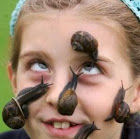 チョコットランドの情熱の花が通貨変わりになったのはなぜですか Yahoo 知恵袋