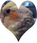 友達にめっちゃ避けられてる気がします 嫌われてるんでしょうか W Yahoo 知恵袋