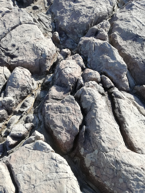 東京都市大学の工学部の数学って偏差値50前後の割にはやや難しいと感じるので Yahoo 知恵袋