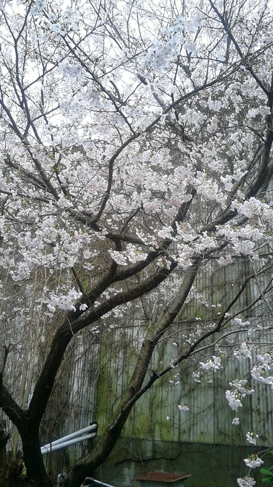 逃走中のハンター役の人たちって 普段なにやってる人たちなんですか 足速 Yahoo 知恵袋