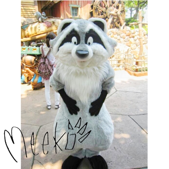 ディズニーリゾート内にプリクラ機ってあるんですか あります ランドやシー Yahoo 知恵袋