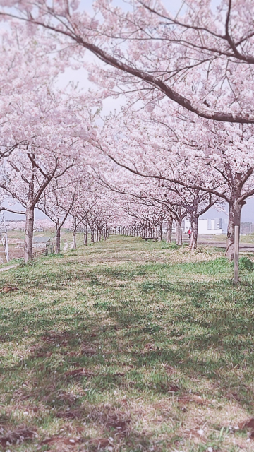 生後1ヶ月のミルクの量について完ミで一回に50 150と差がありす Yahoo 知恵袋