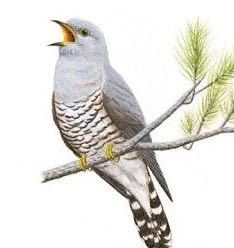 どうせ死ぬんだから適当に好きなように生きればいい というのは思慮が浅い Yahoo 知恵袋