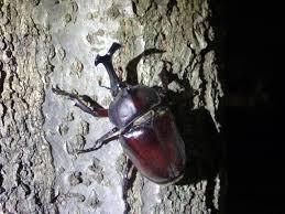 音ゲーに集中できません 音ゲーやってる最中だんだん疲れてきて 必ずと Yahoo 知恵袋