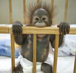 先日 知り合いがなくなりました しかし新聞の おくやみ 欄に載っていませんで Yahoo 知恵袋