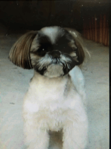 小学4年生の算数のやりとり算で解き方の分からない問題がありました Yahoo 知恵袋