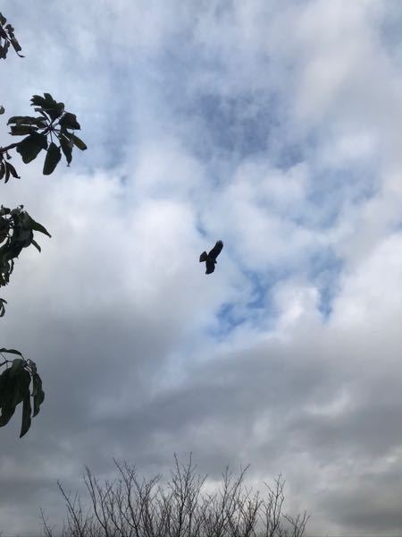 只今の日付 4月29日16時2分今fortniteのアプ Yahoo 知恵袋