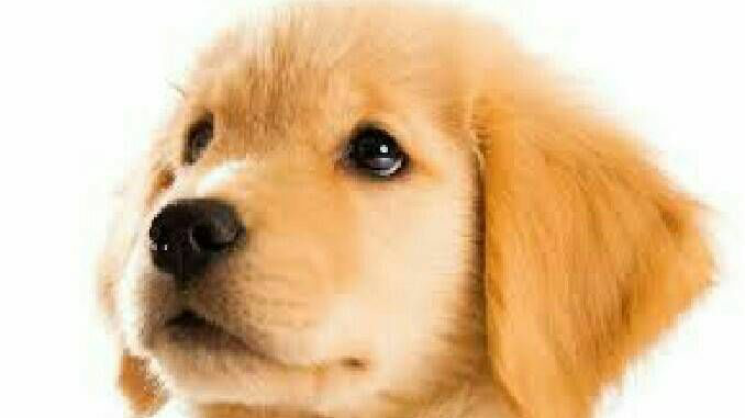 ユーチューブのプロモーションを含みますは 広告があるという事ですか Yahoo 知恵袋