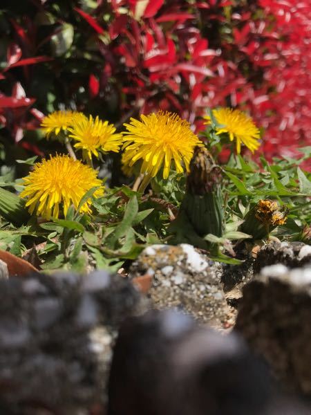 ニコニコ動画で自演してたら Idによってバレますか Yahoo 知恵袋