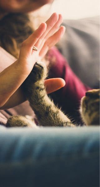 オーマイゴッドと オーマイグンネスの違いは何ですか 最近フォートナイ Yahoo 知恵袋