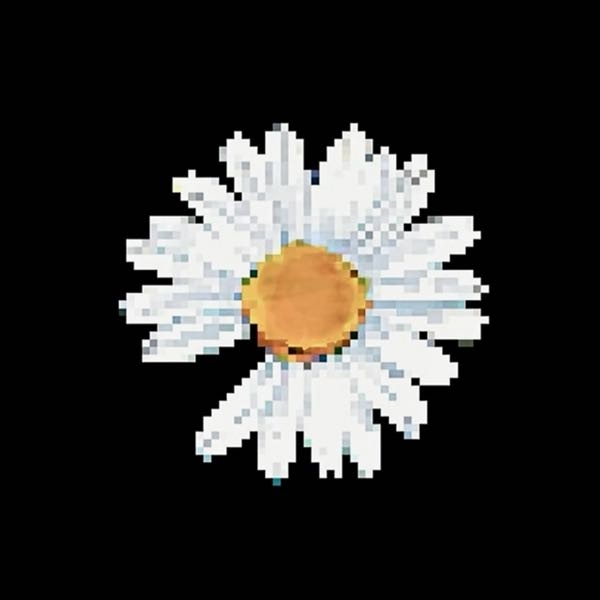 海賊版サイトって見れなくなったんですか 未だ見れるところはあります 当然 Yahoo 知恵袋