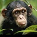 進撃の巨人 マーレ潜伏中のエレンは脚を切断して負傷者を装っていましたが Yahoo 知恵袋