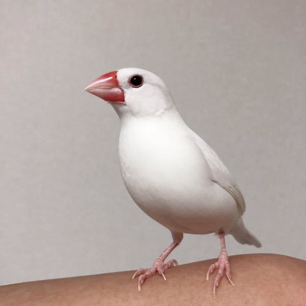 高校生でモテる女子の特徴はなんですか よほど根暗な性格でない限り Yahoo 知恵袋