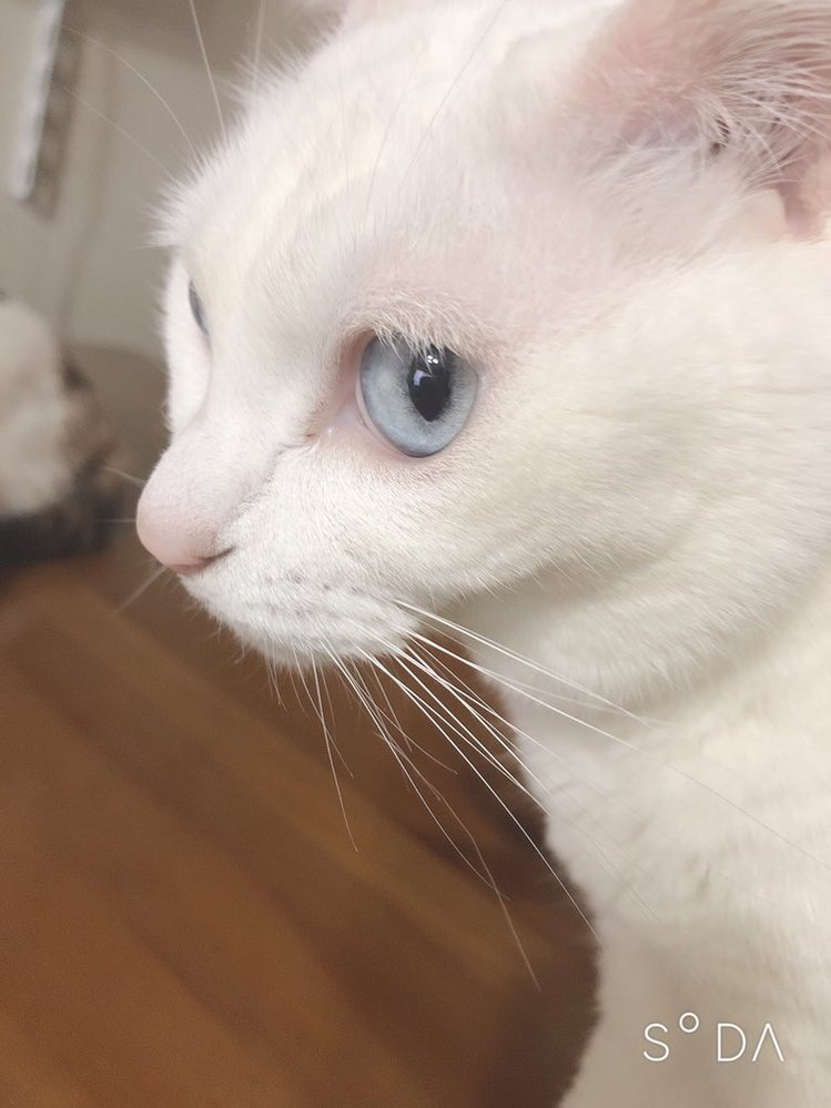 誕生日プレゼントを買いに行く際 子供も一緒に行く場合上の子10歳 Yahoo 知恵袋