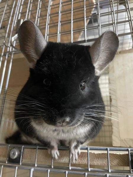 付き合ってないのに モーニングコールをする男性心理はなんでしょうか 夜も Yahoo 知恵袋