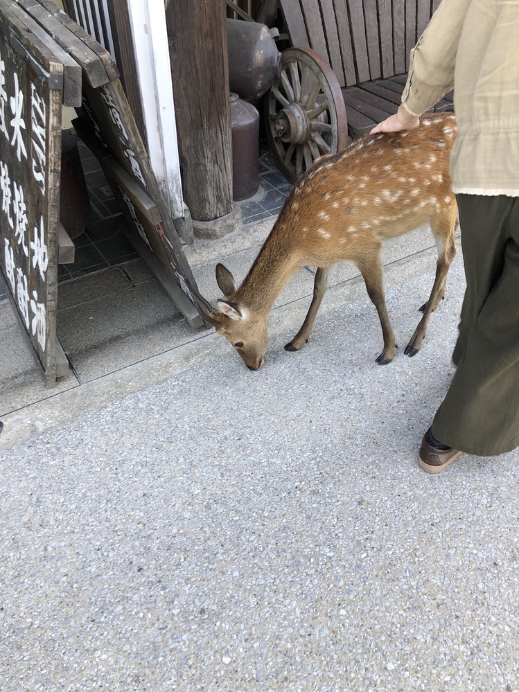 らっだぁさんのことについてです なぜ こばこだがお気に入りなんで Yahoo 知恵袋