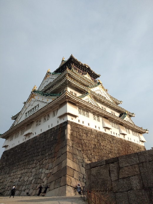 坊主頭でも白髪は染めるべきでしょうか まばらな感じの白髪です 何ｍｍの Yahoo 知恵袋