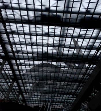 Scp1730のサイト13で何が起こったのか を分かりやすく説 Yahoo 知恵袋