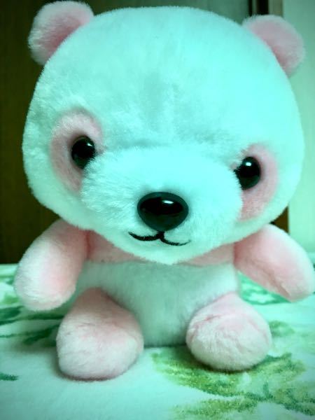 シャコを駆除したいです シャコがいそうなライブロックをバケツに移してエ Yahoo 知恵袋